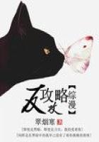 Zongman's Raiders and Anti-Raiders
